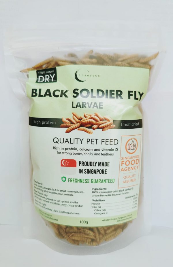 Black Soldier Fly